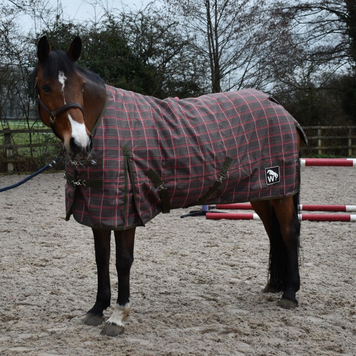 R424- Archie 200g Turnout Rug with Tail Flap and Shoulder Gusset